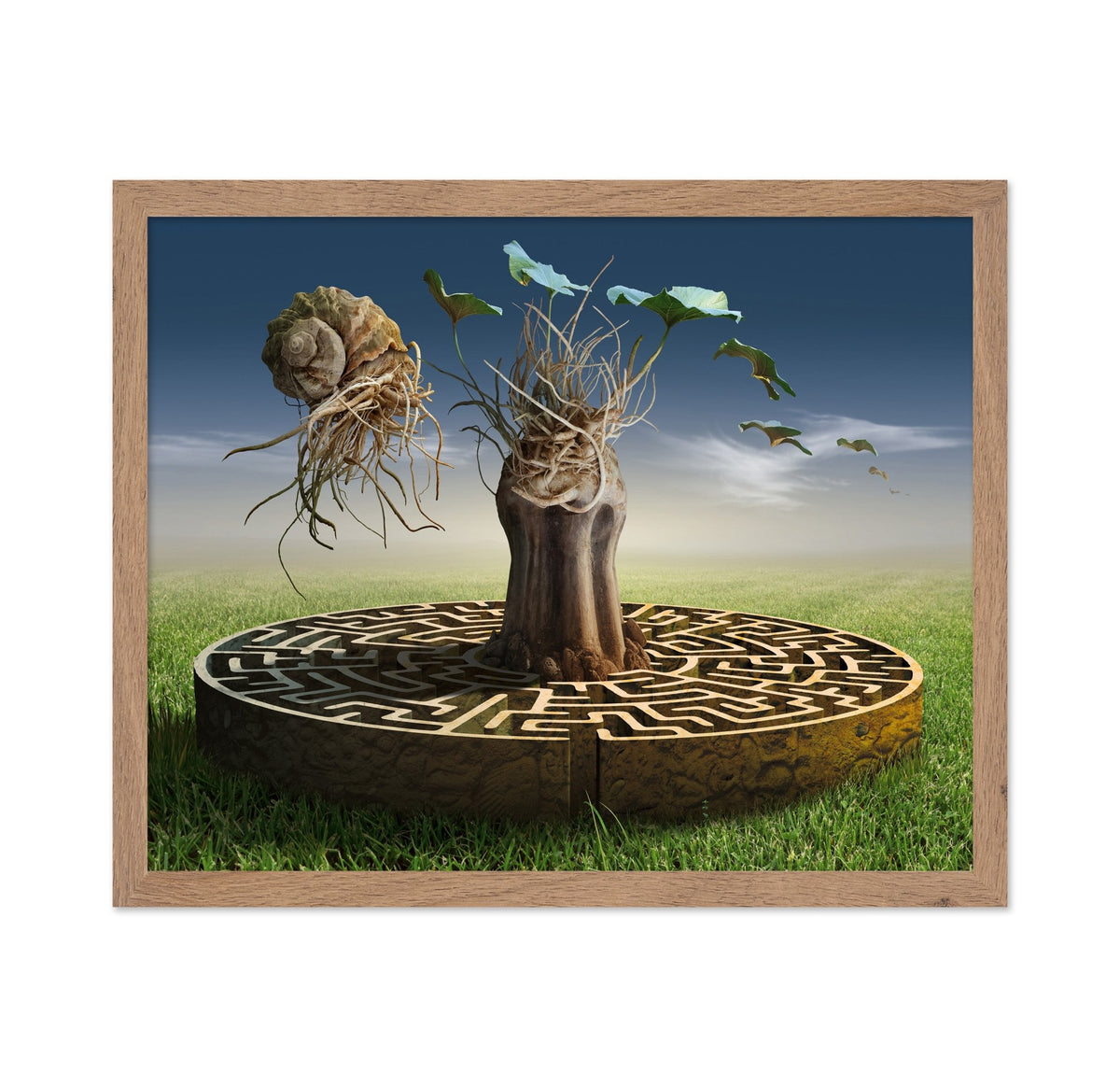 Root Labyrinth Tree
