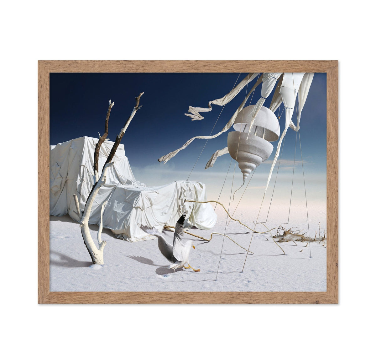 White Desert Dream