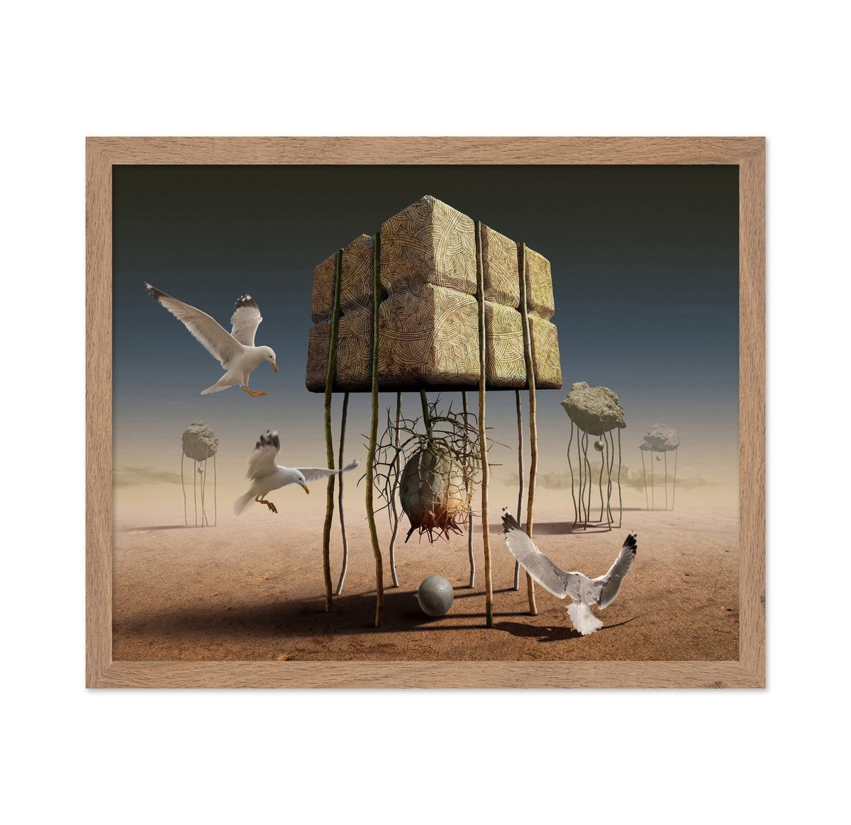Desert Nest Structure