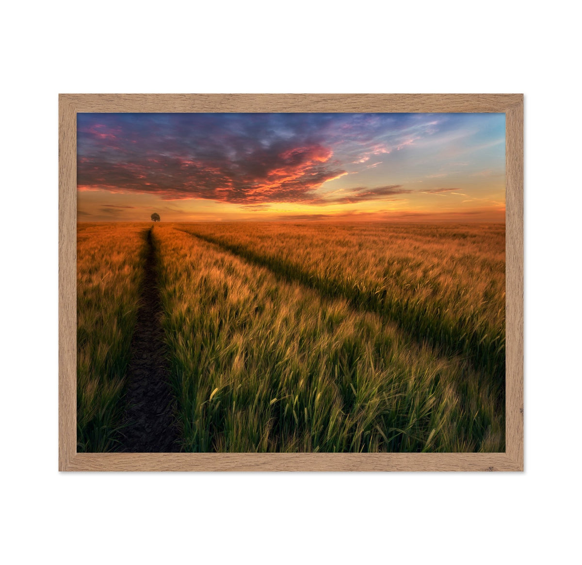 Sunset Field Horizon