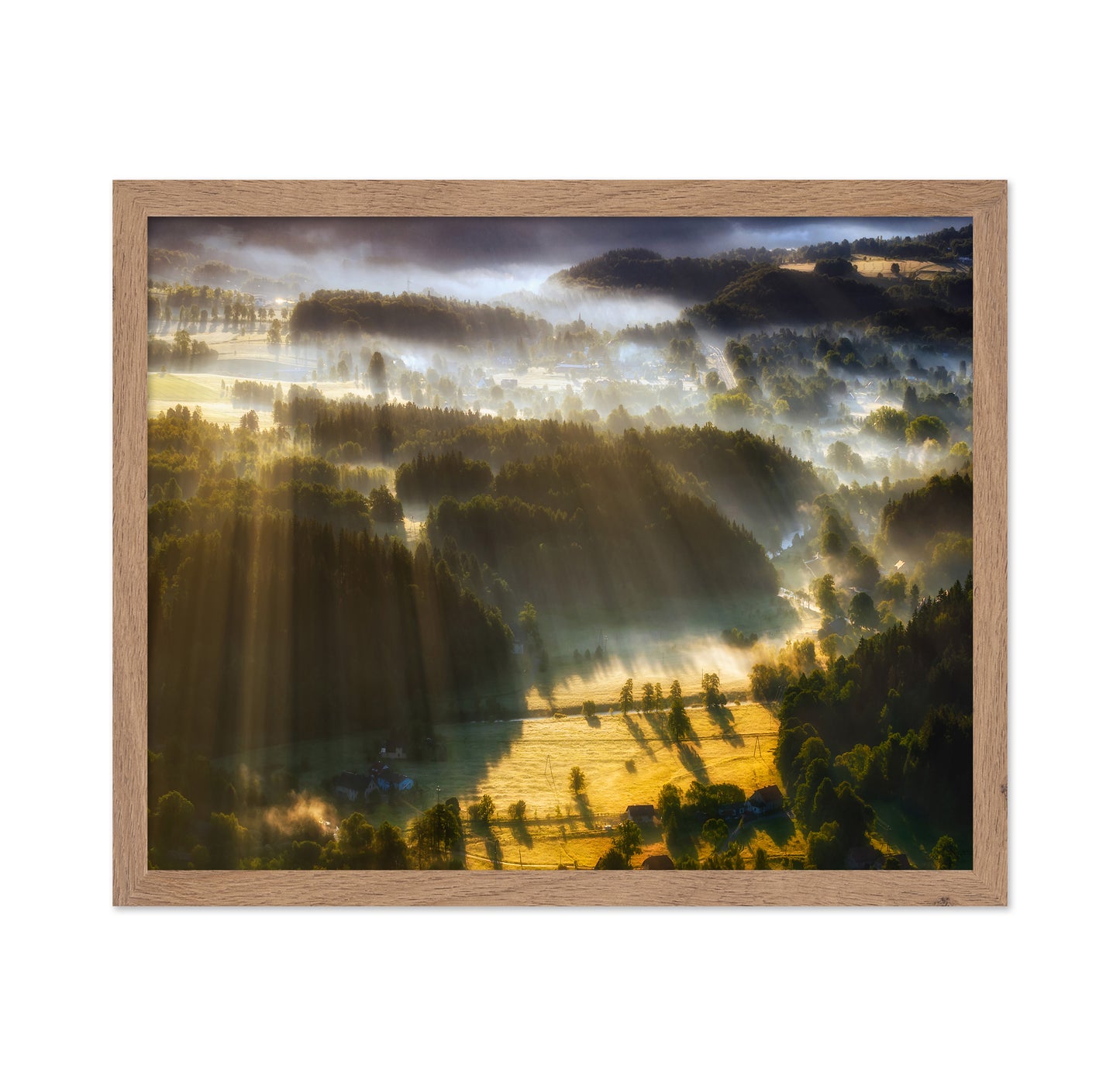 Morning Mist Valley