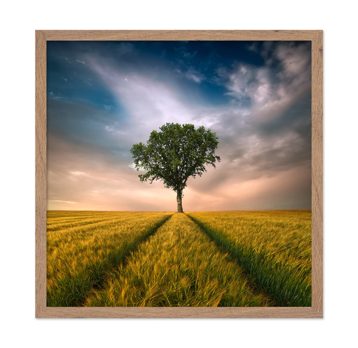 Lone Tree Horizon No1
