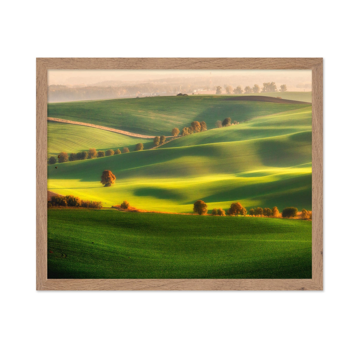 Rolling Green Hills No1