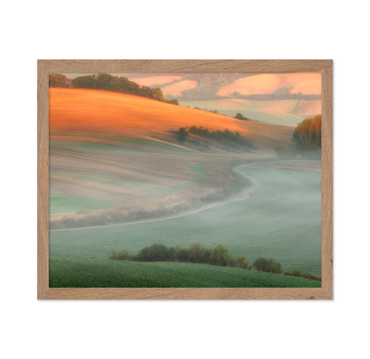 Misty Country Road