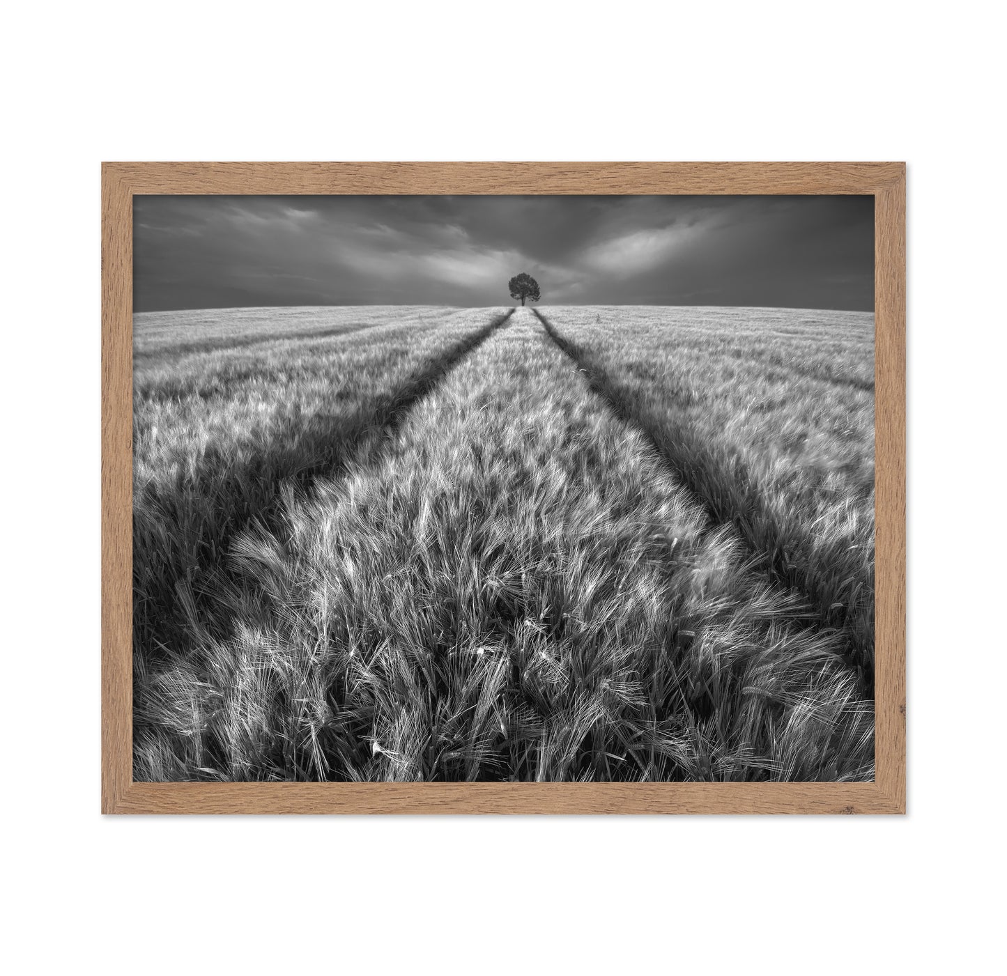 Lone Tree Field Path No1