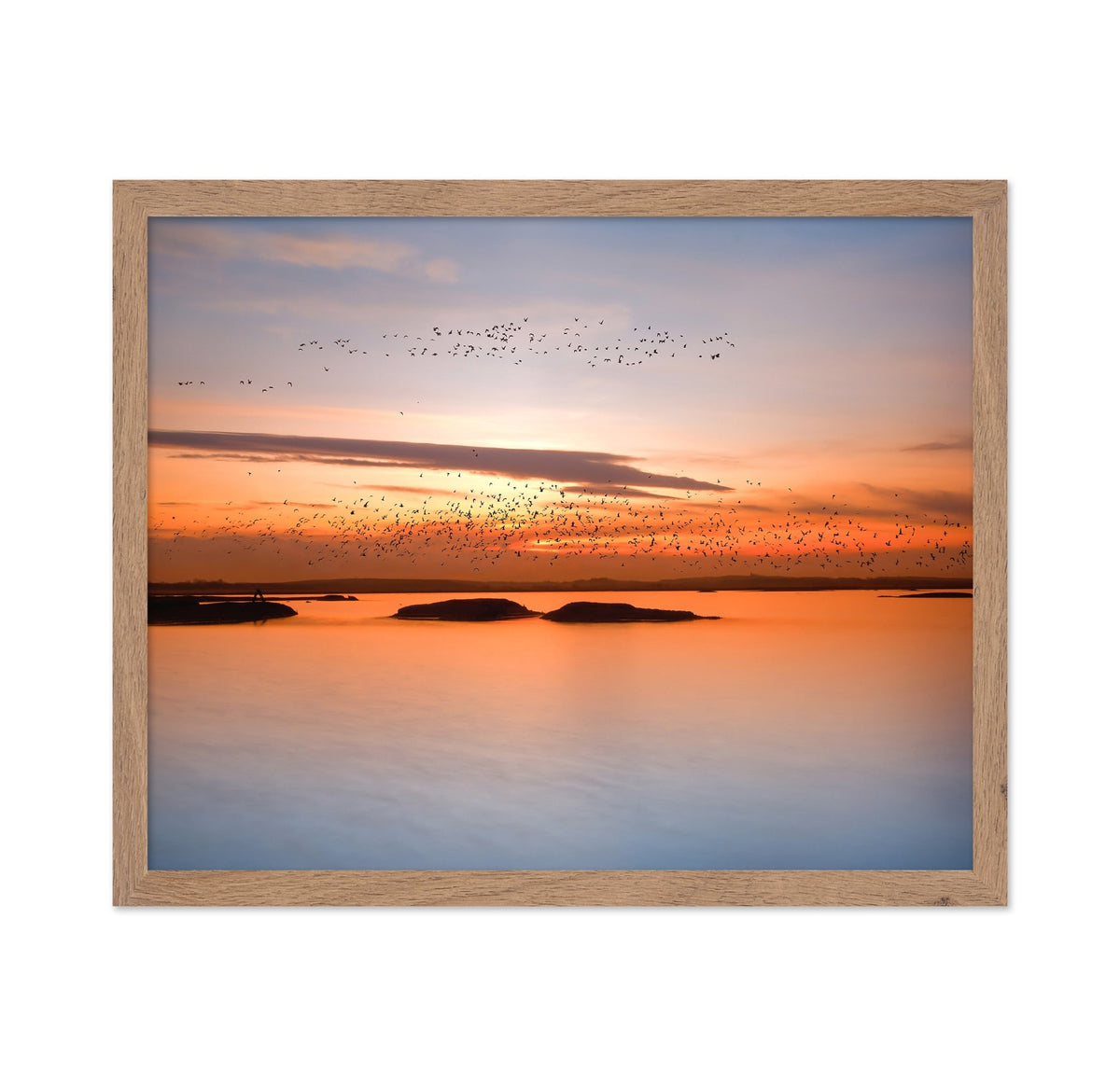 Sunset Birds Over Water