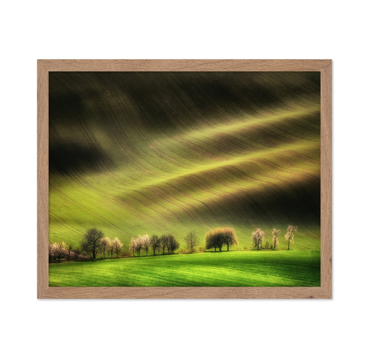 Rolling Spring Hills
