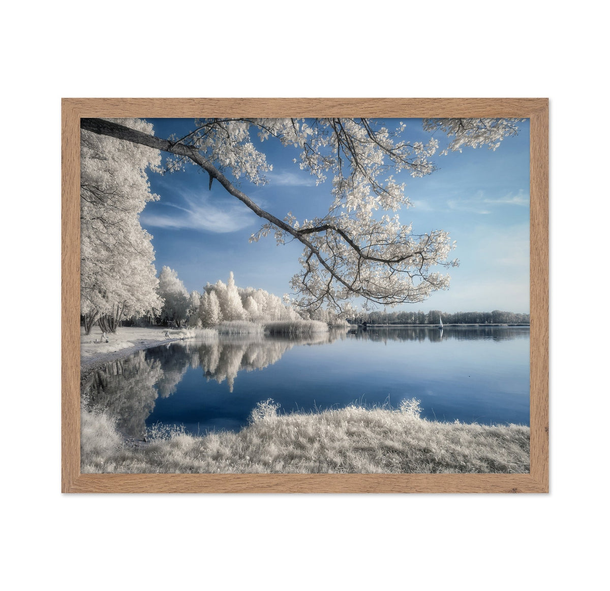 Silent Lake Reflections