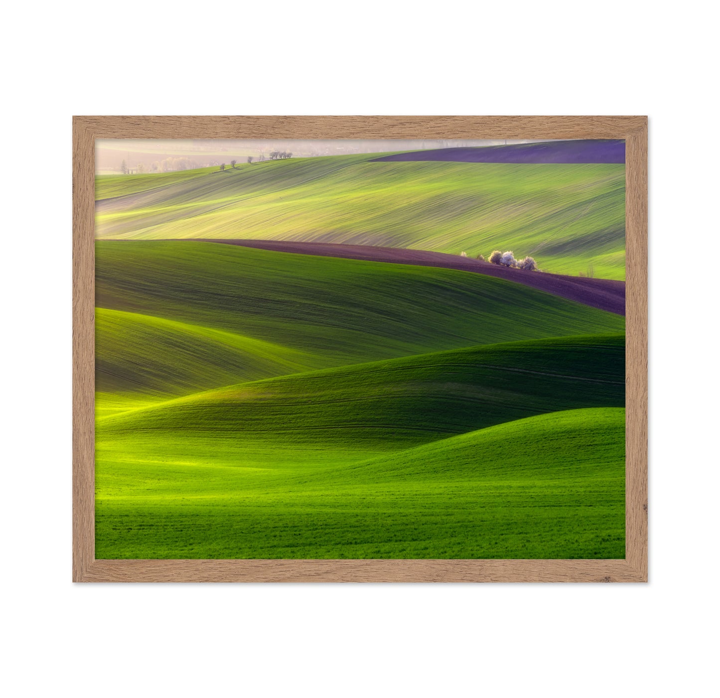 Emerald Rolling Hills