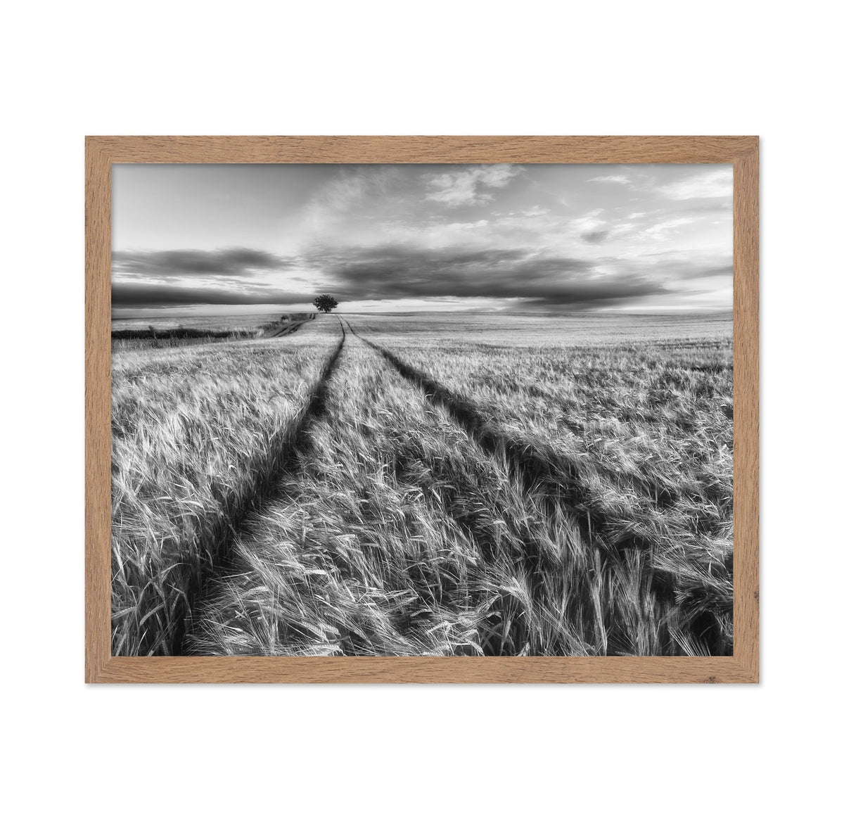 Lone Tree Field Path No2