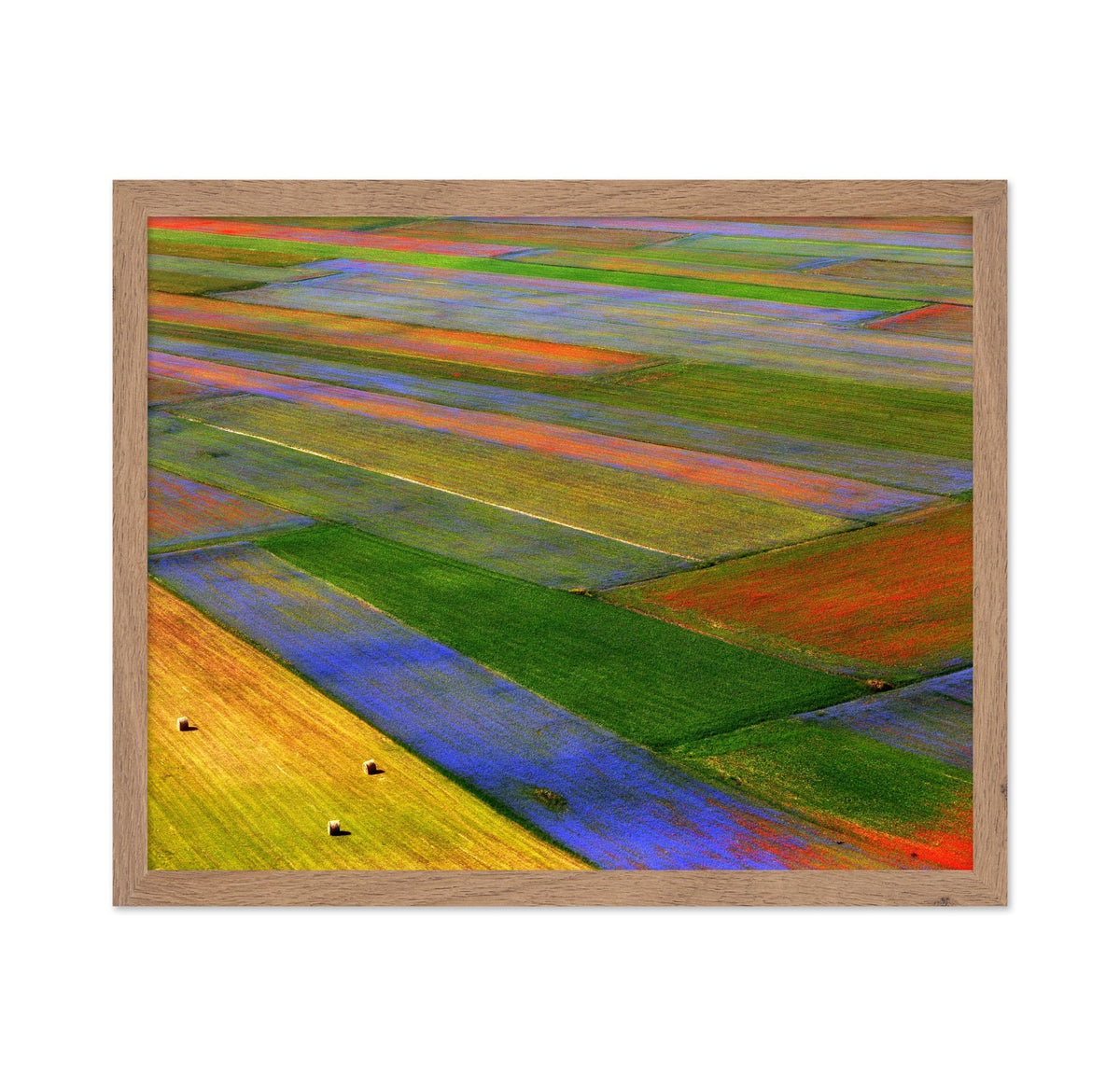 Colorful Patchwork Fields