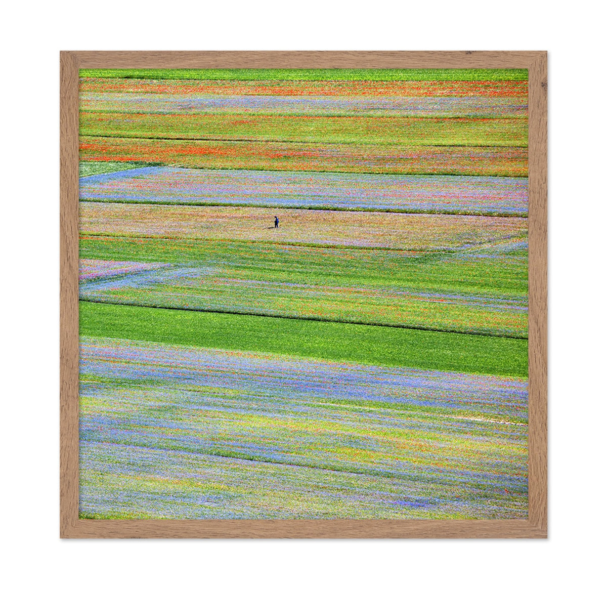 Flower Field Patchwork