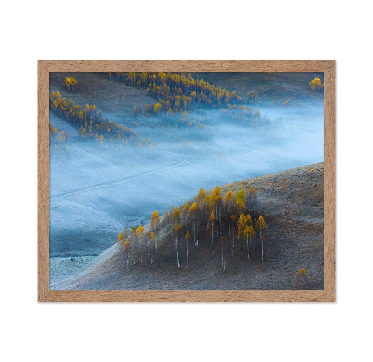 Autumn Hills In Mist
