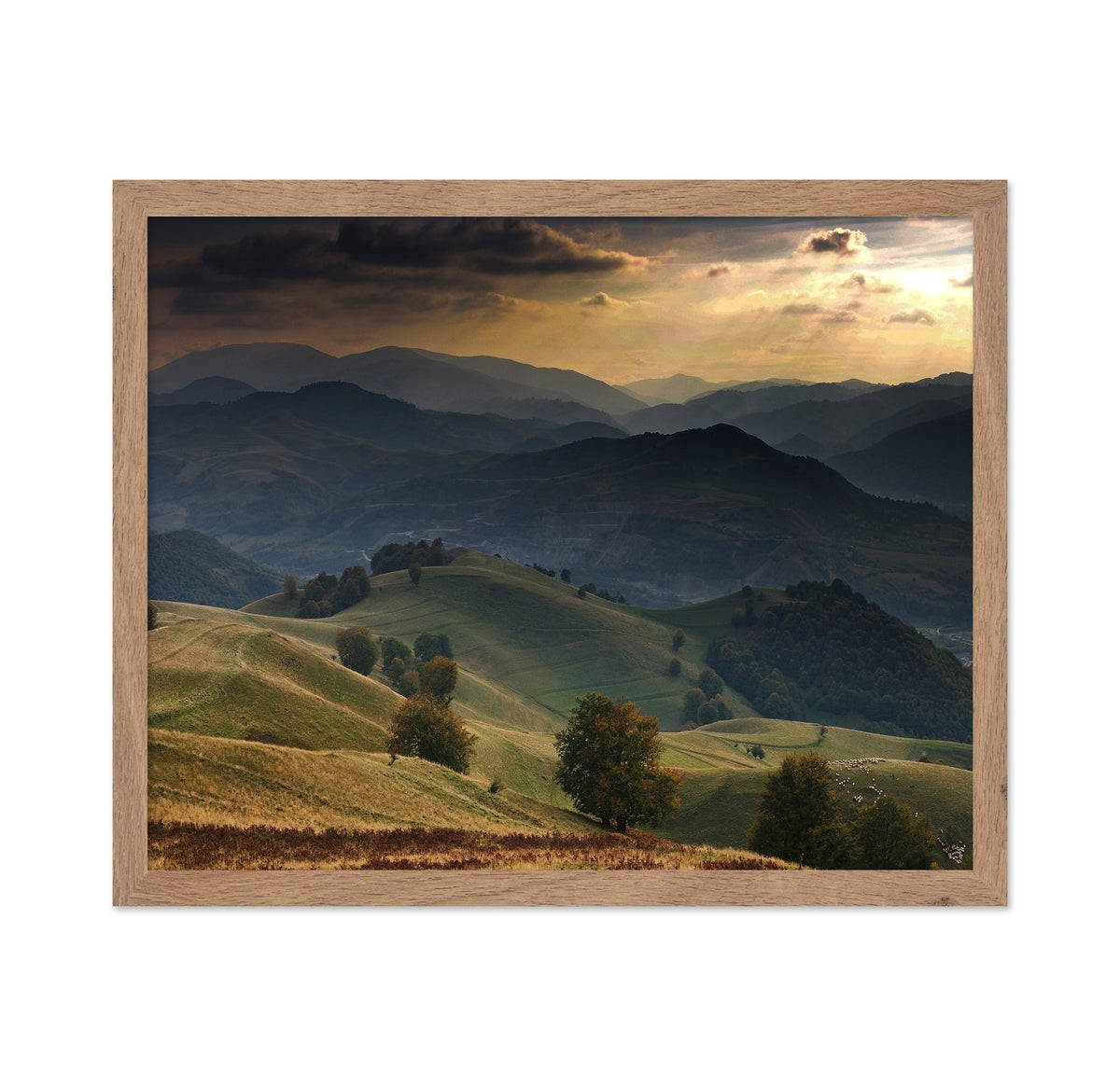 Golden Mountain Hills