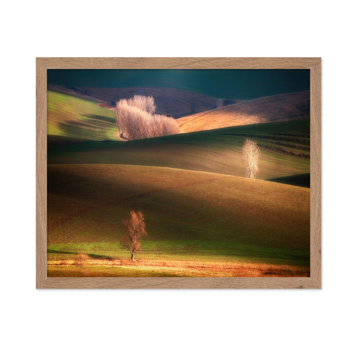Sunlit Rolling Hills