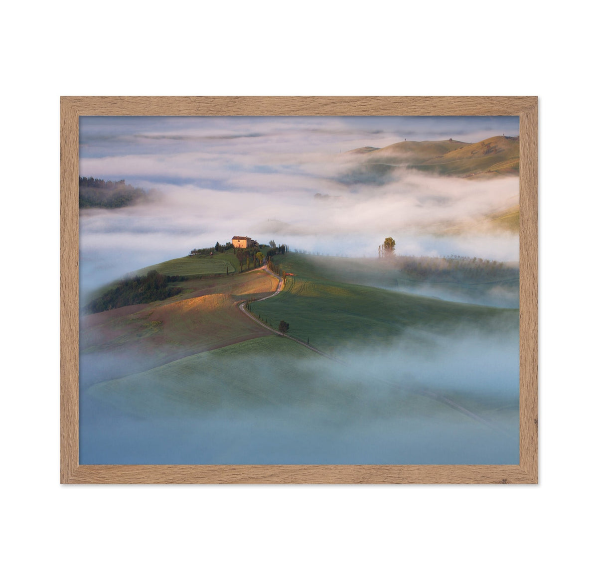 Misty Hillside House