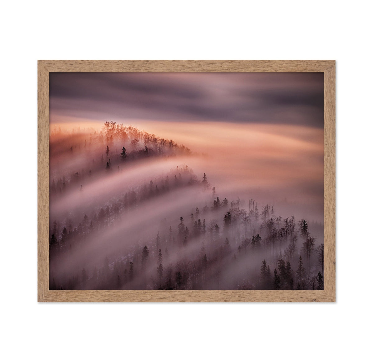 Fog Waves Over Forest Hills