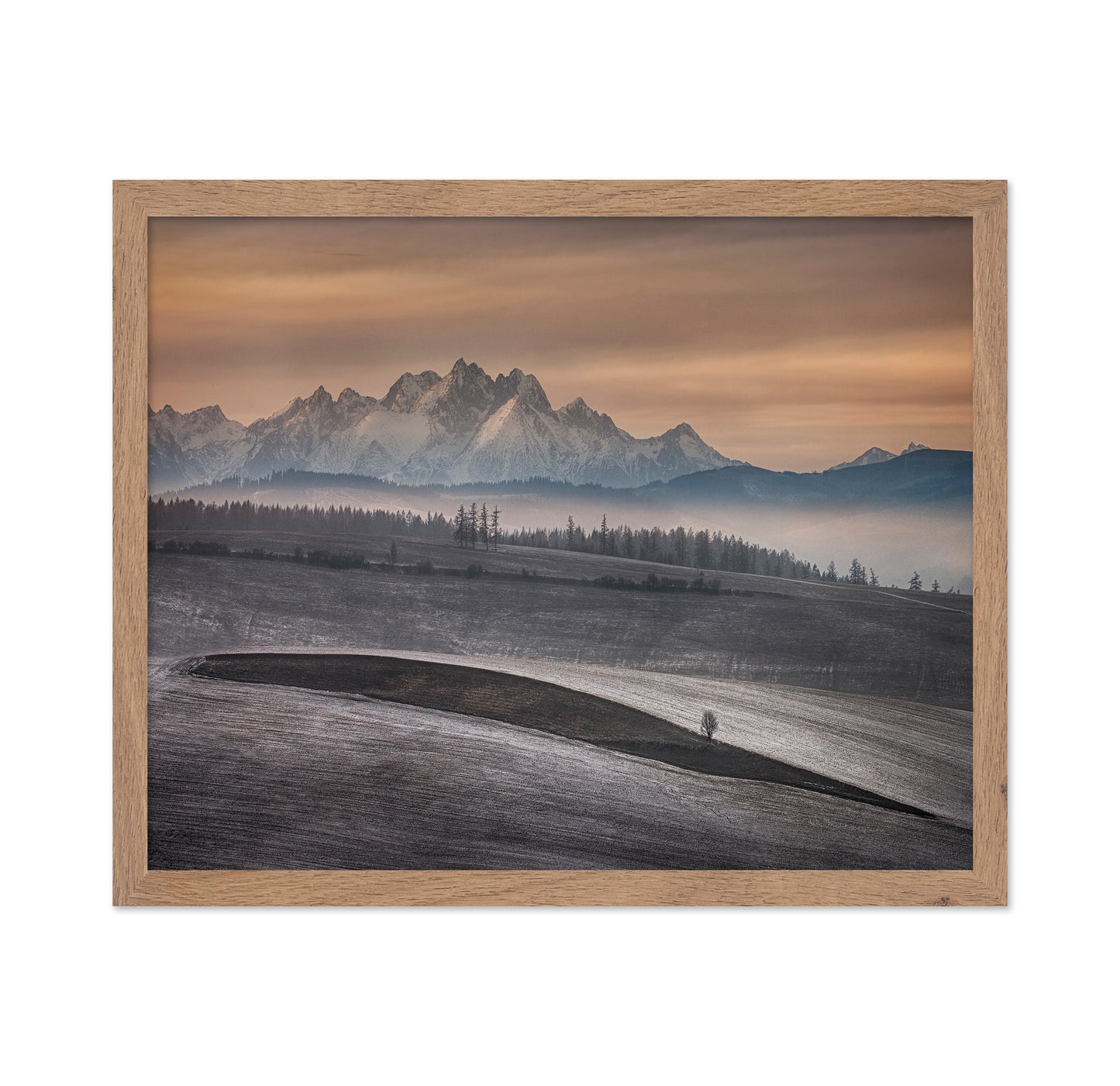 Frosted Fields Beneath Winter Peaks