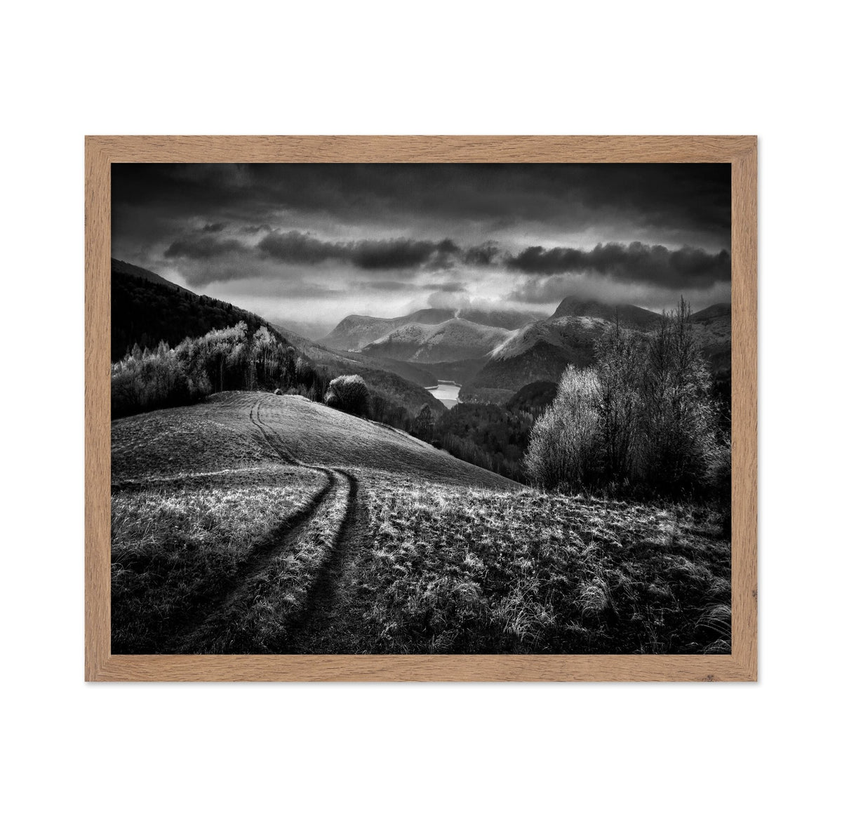 Path to the Frozen Valley
