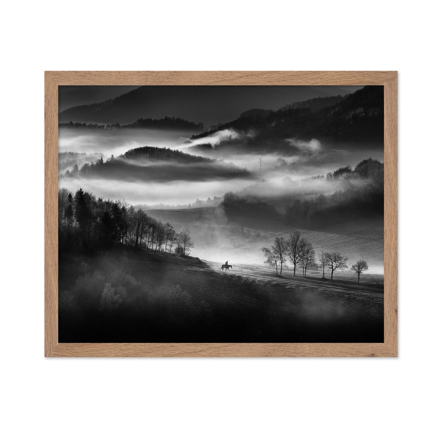 Rider Through the Morning Mist