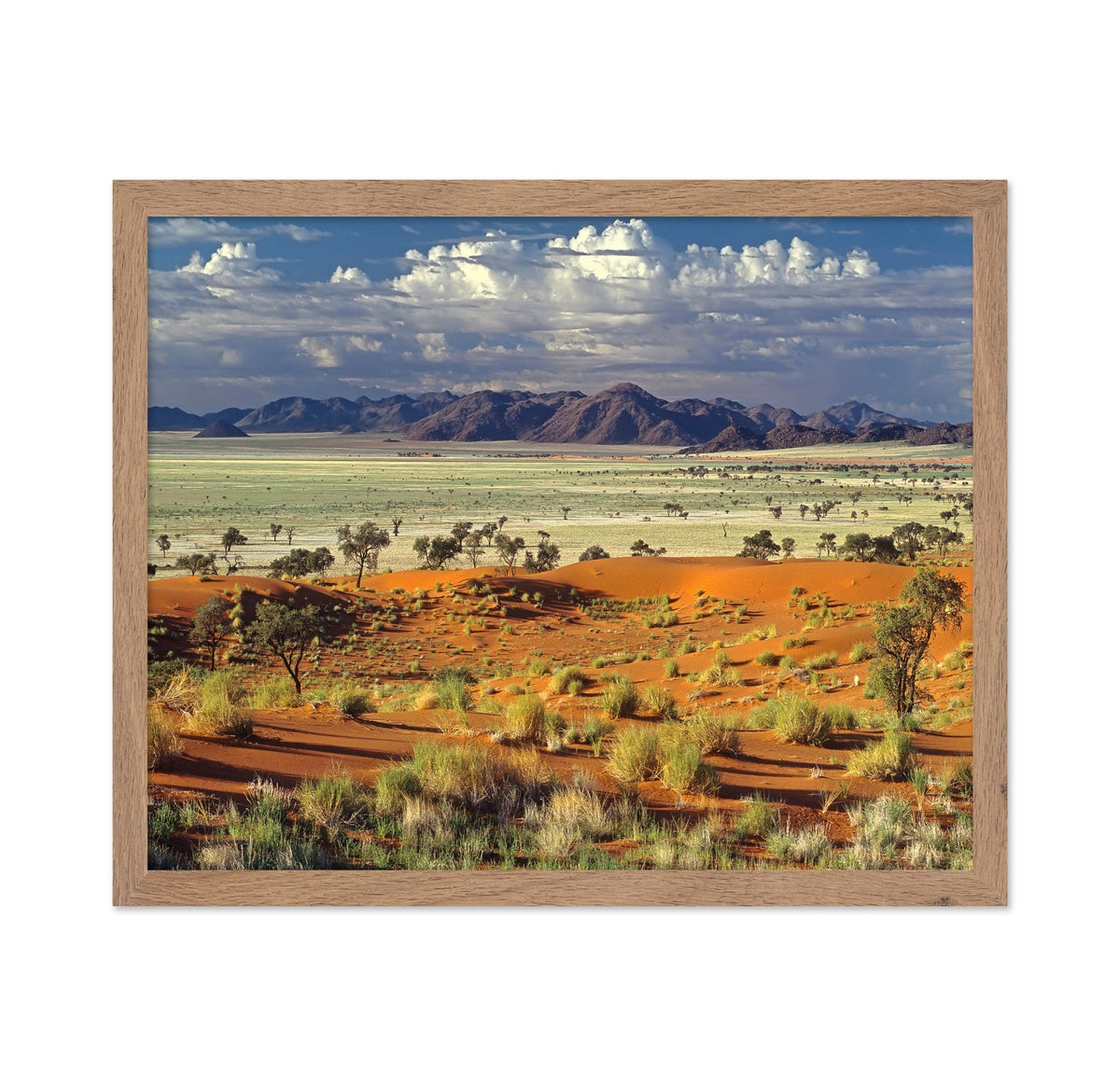 Namib Desert Landscape