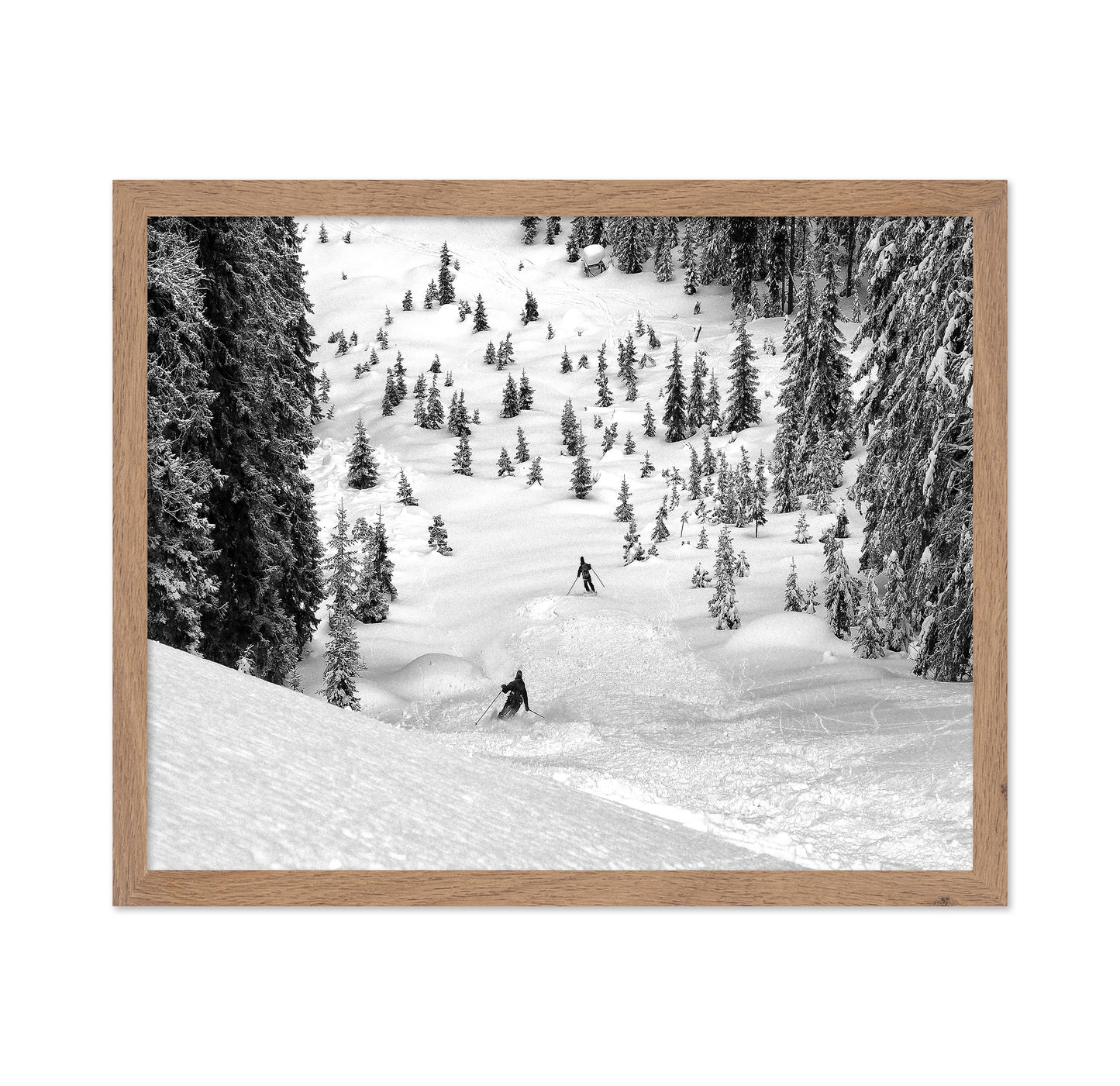 Backcountry Ski Freeriders