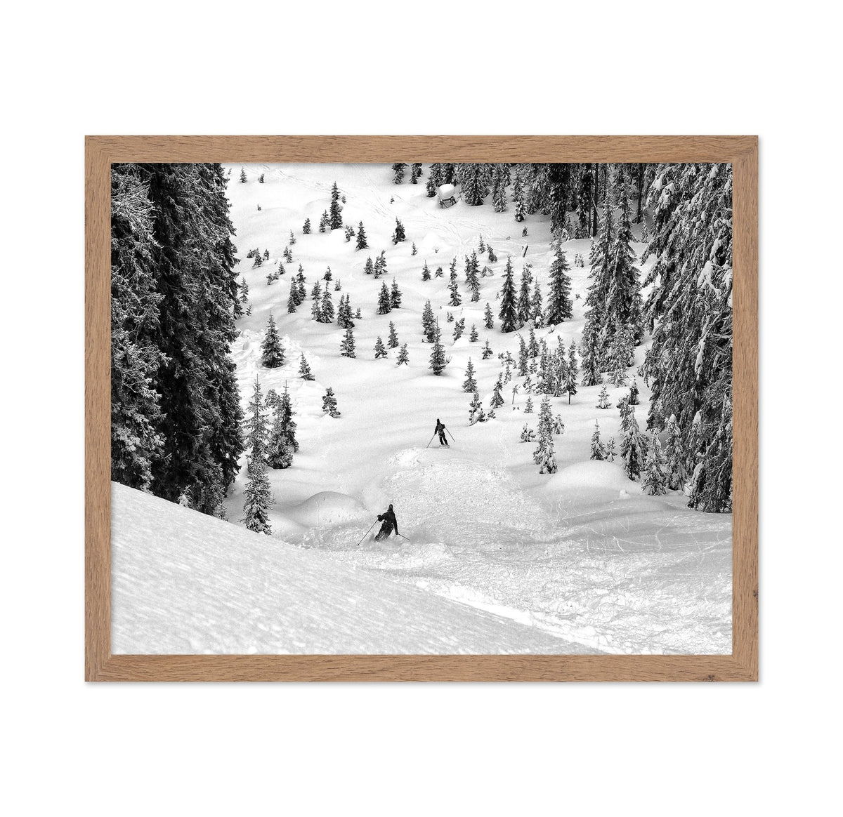 Backcountry Ski Freeriders