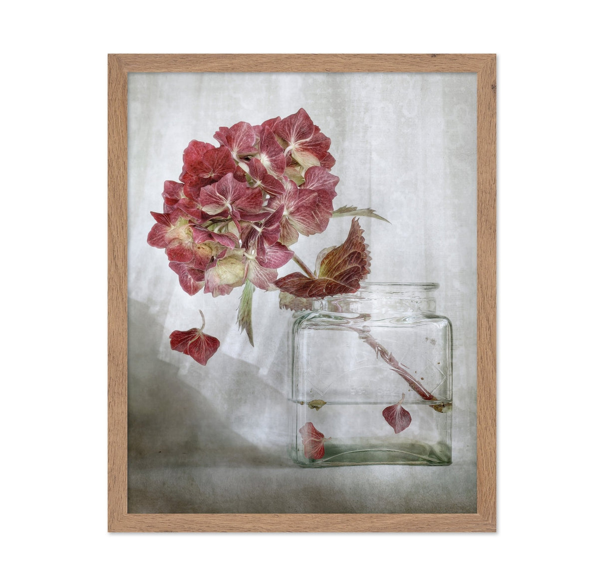 Pink Hydrangea Still Life