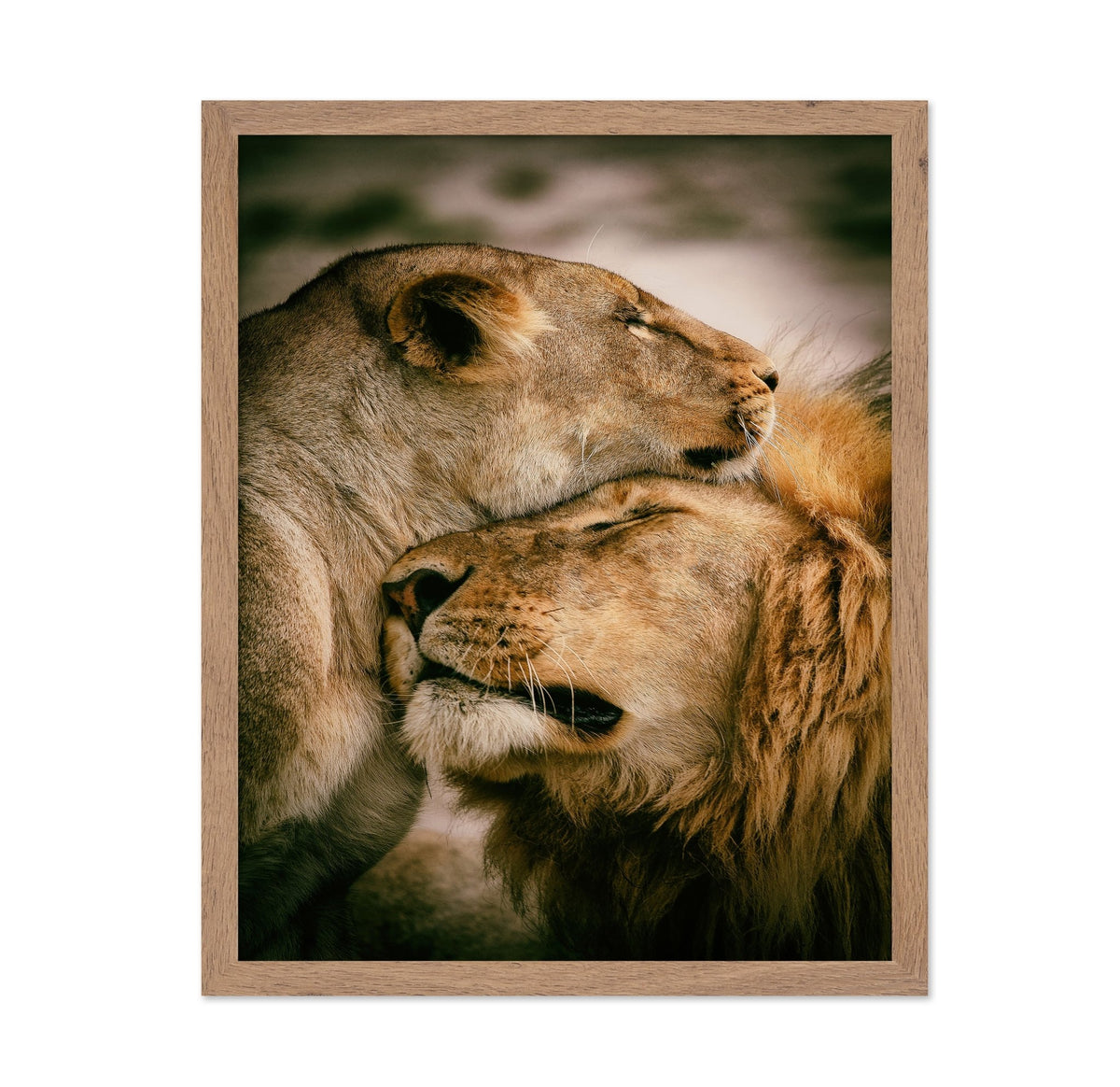 Lion Couple Bond No1