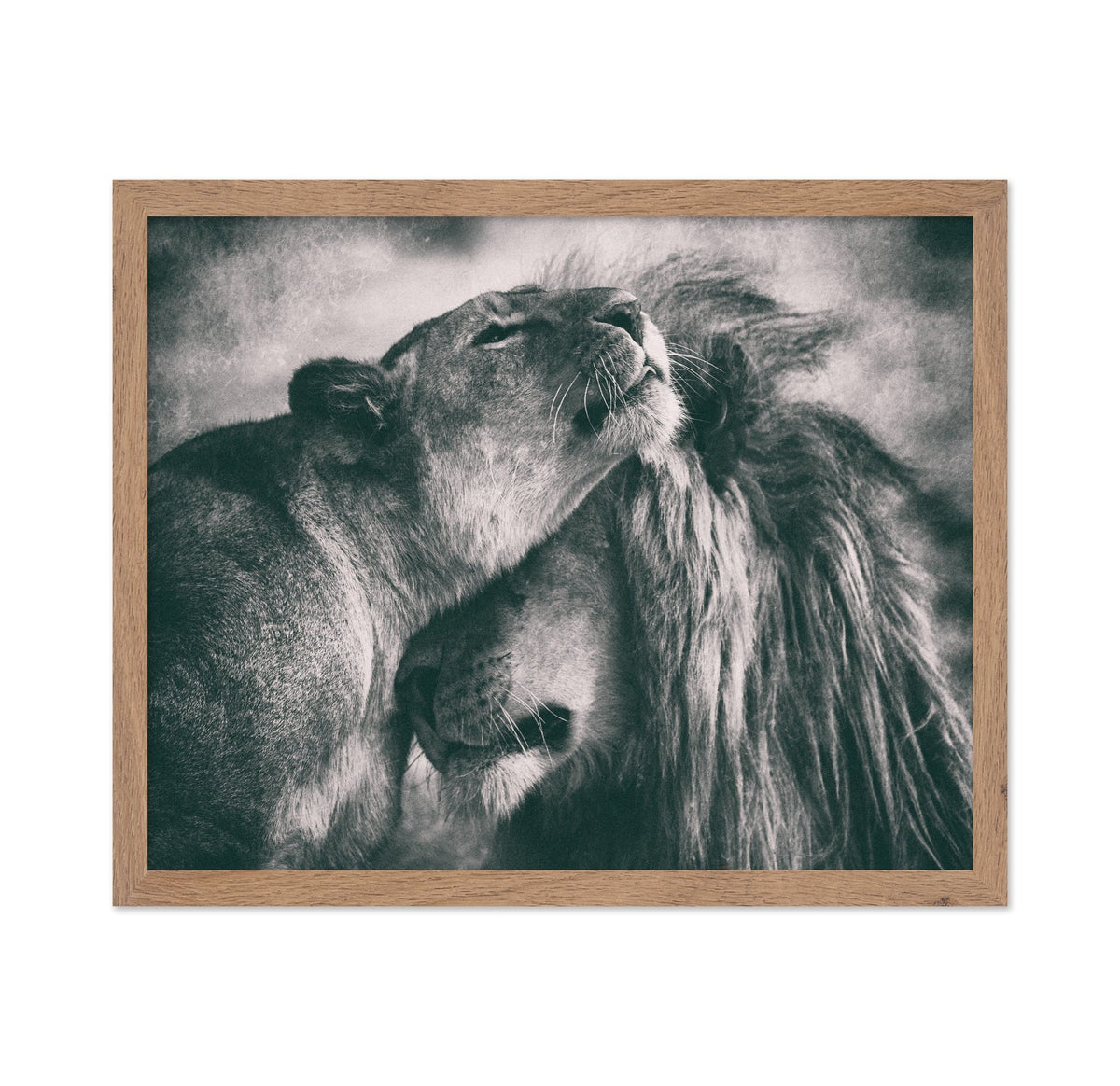 Lion Pair Bond