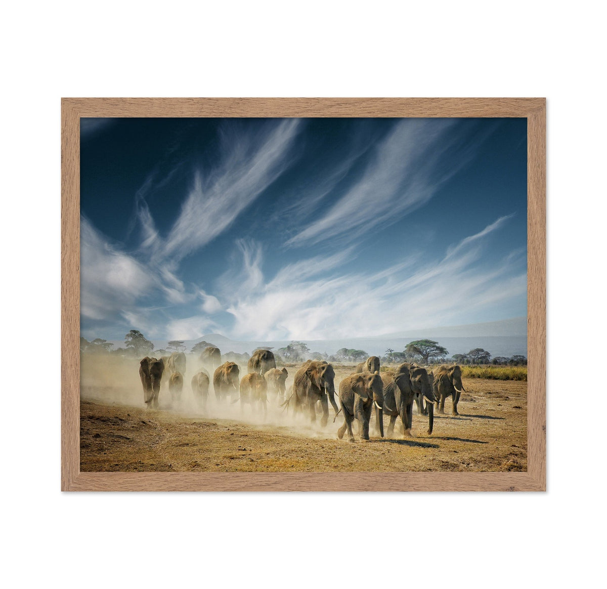 Elephant Herd March