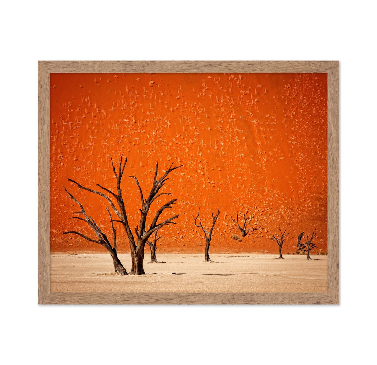 Desert Trees Silhouette