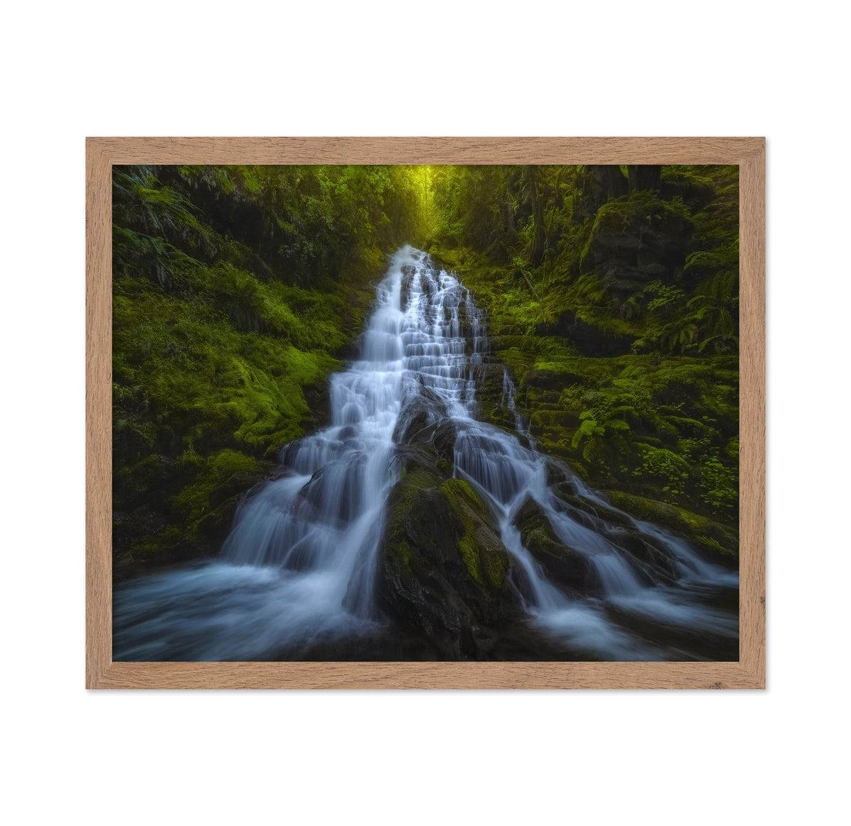 Forest Cascade Falls