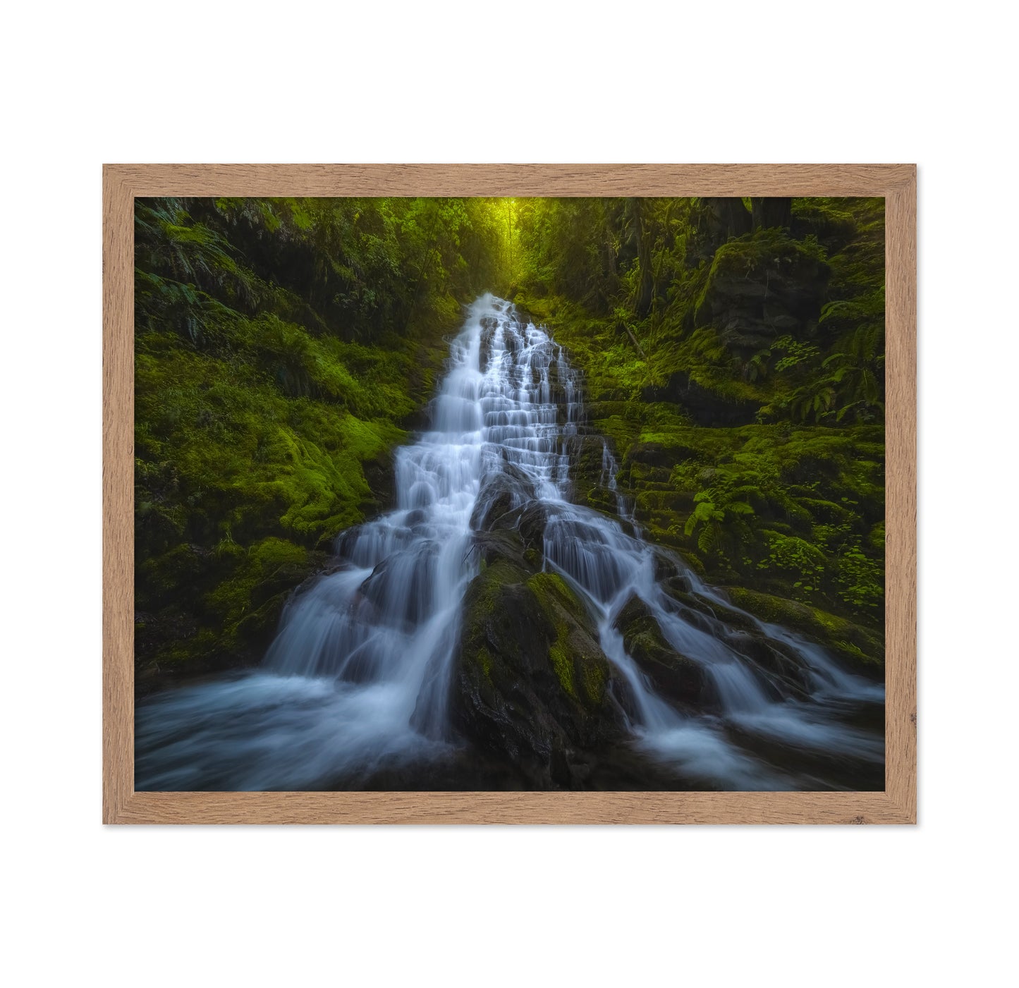 Forest Cascade Falls