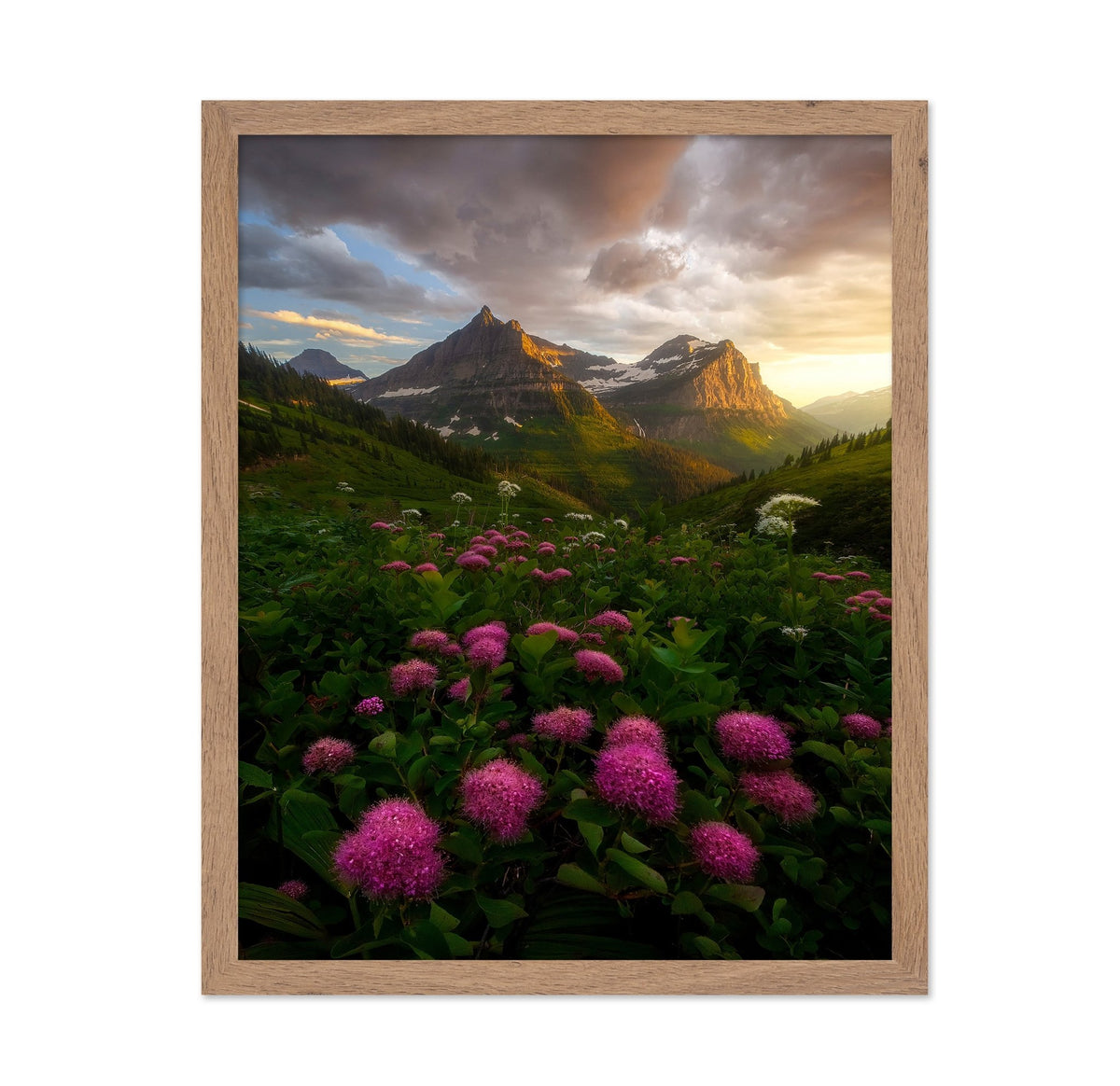 Alpine Wildflower Valley