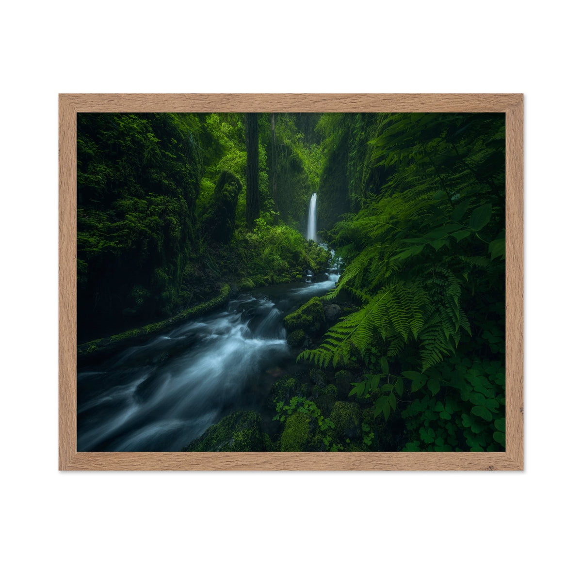 Forest Waterfall Stream