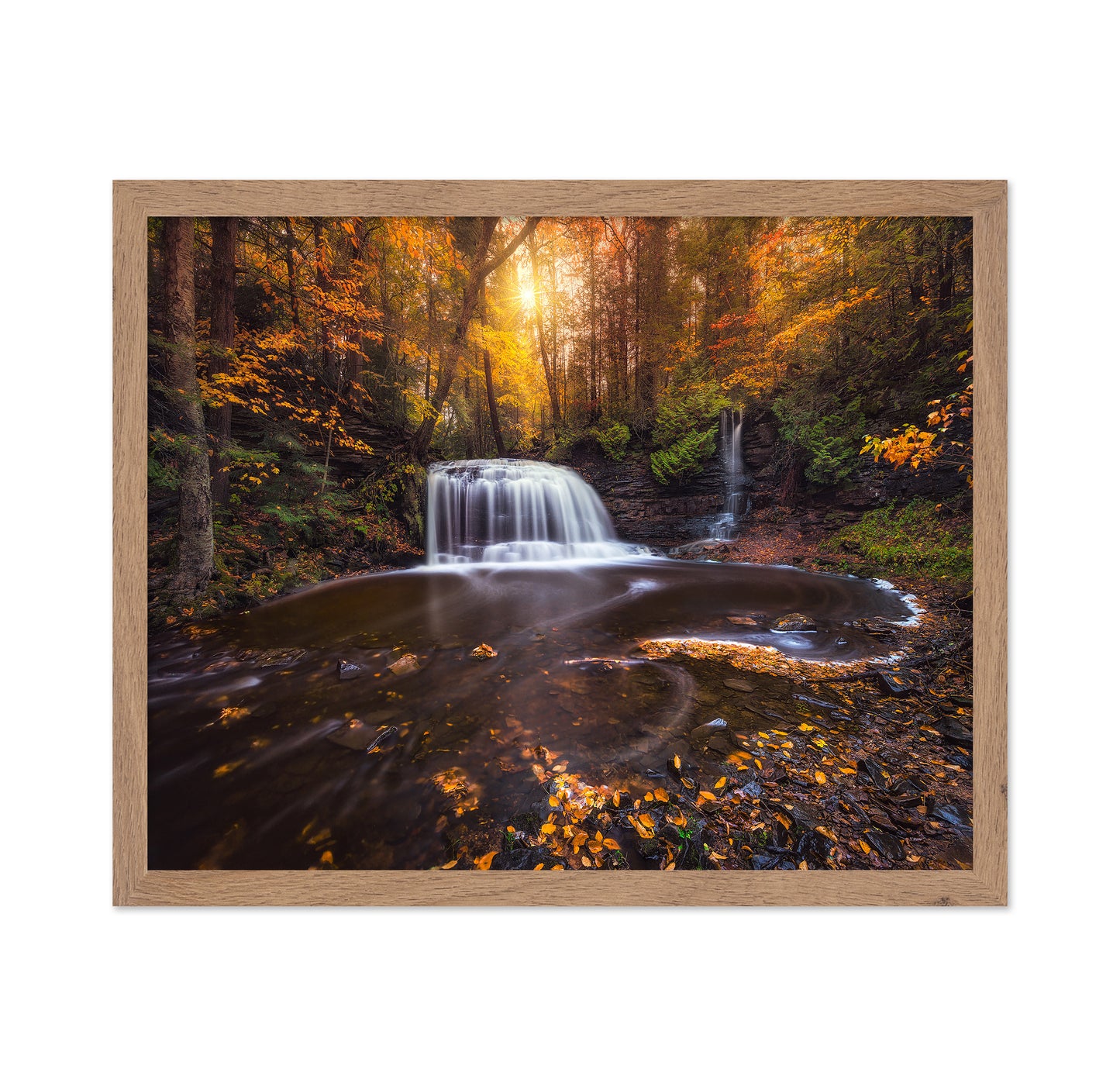 Autumn Forest Falls