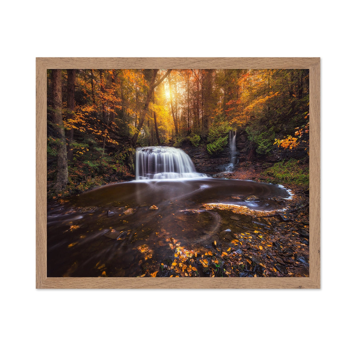 Autumn Forest Falls