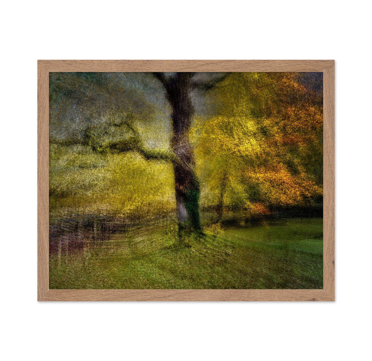 Autumn Dream Tree