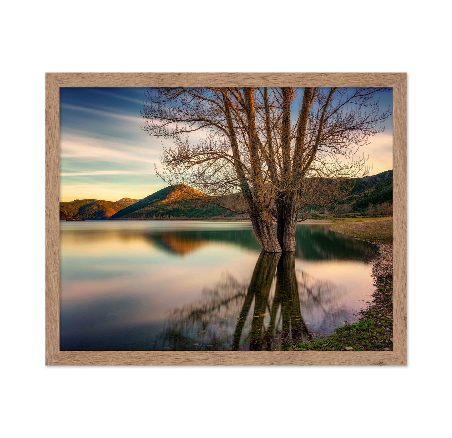Lakeside Twin Tree