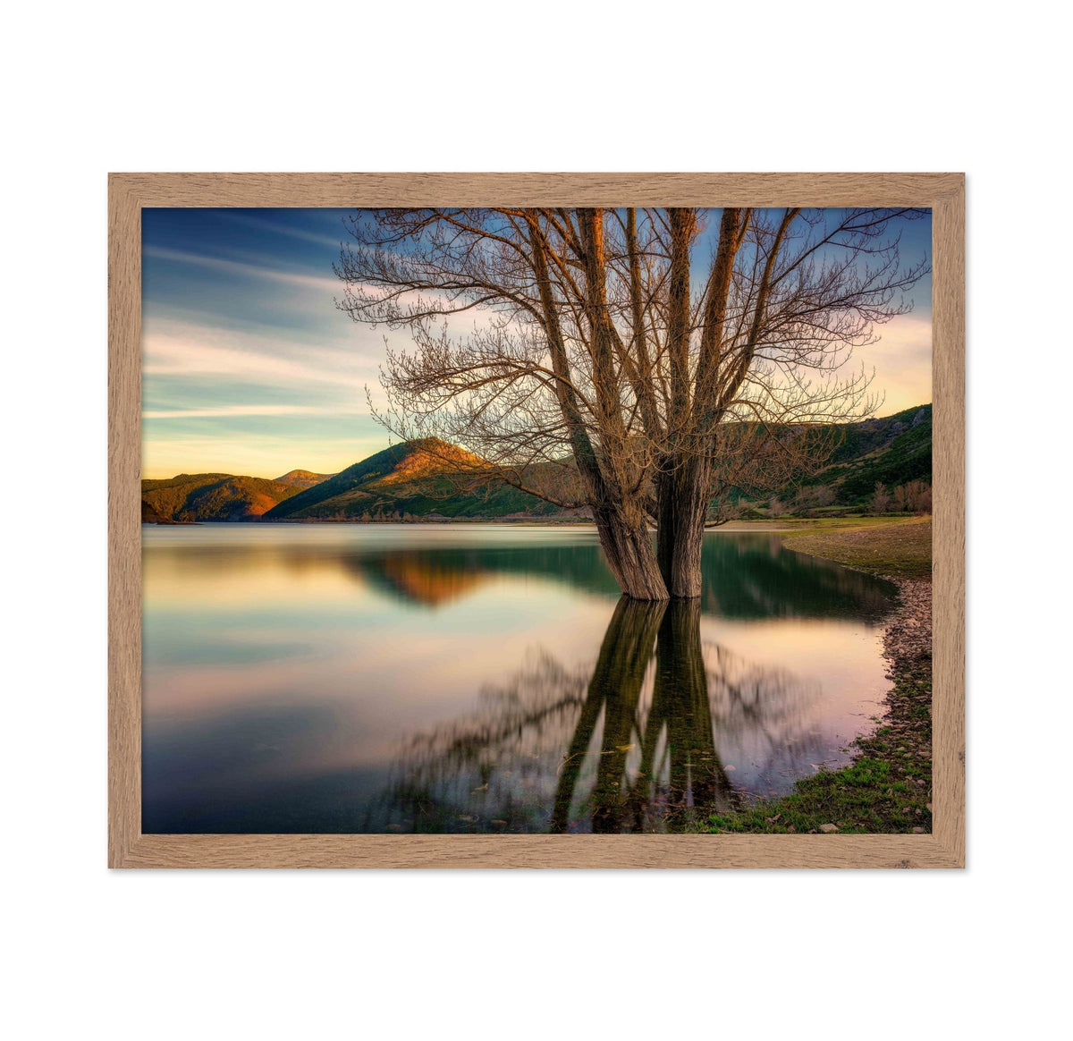 Lakeside Twin Tree
