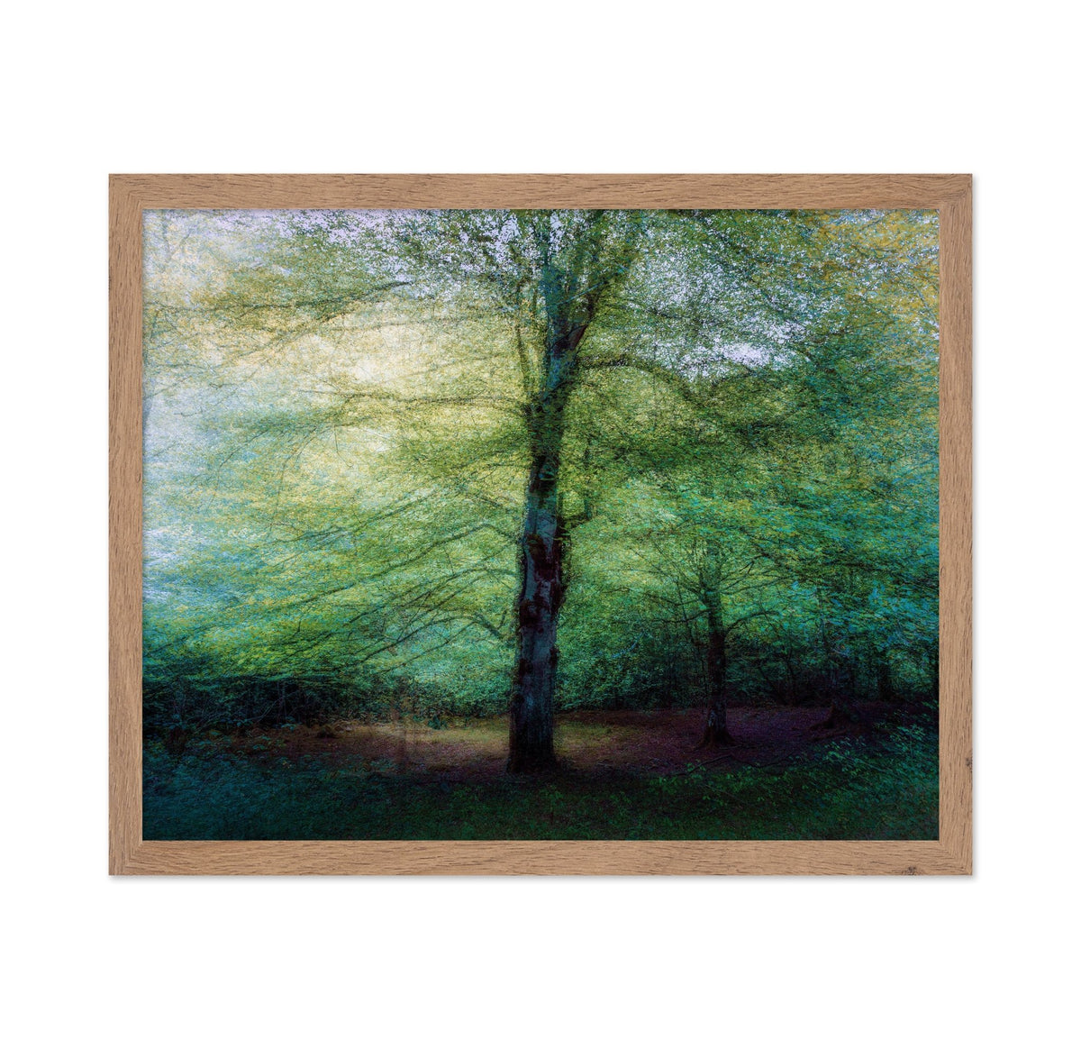 Emerald Forest Glow