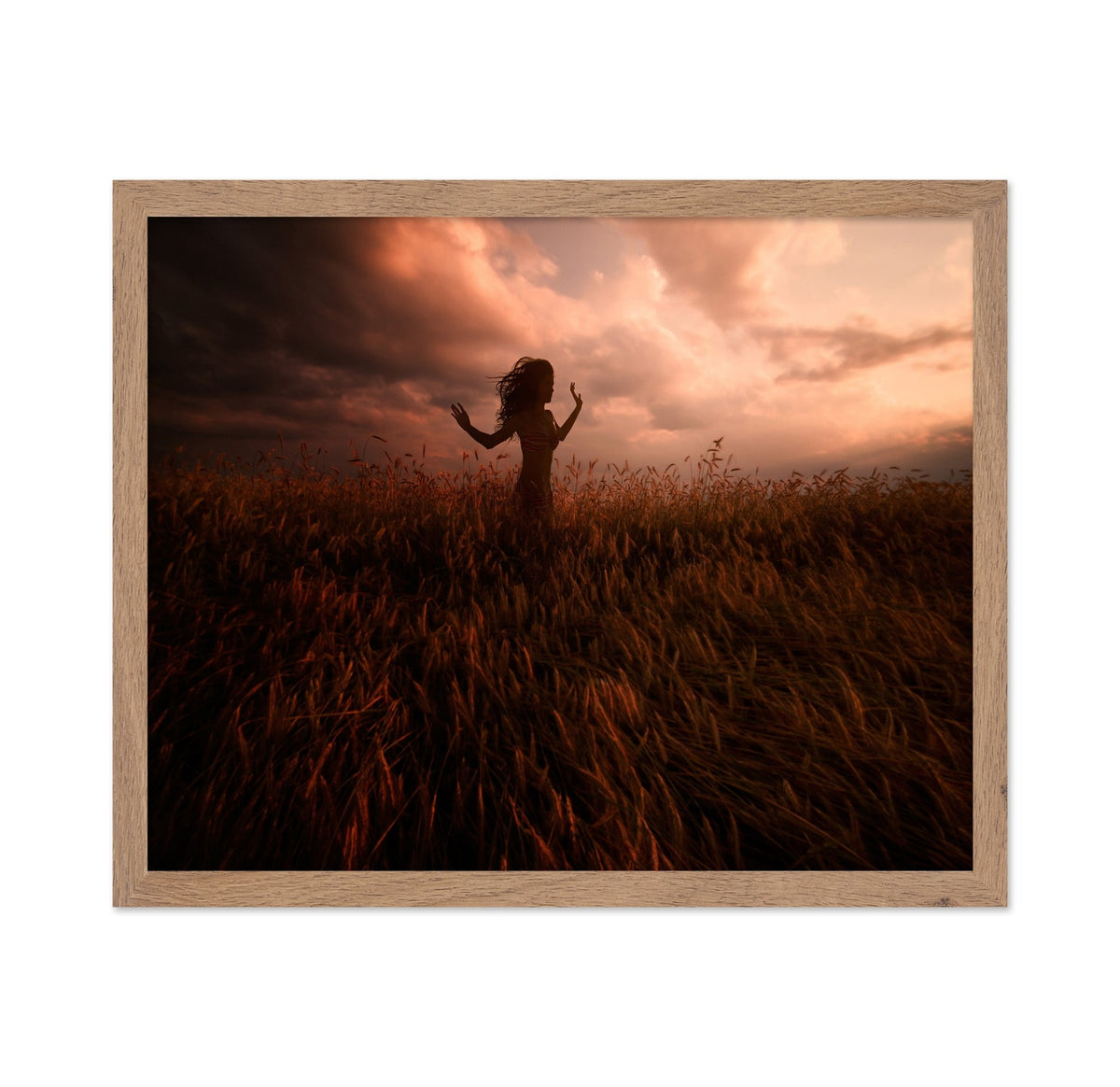 Sunset Dance In Wheat