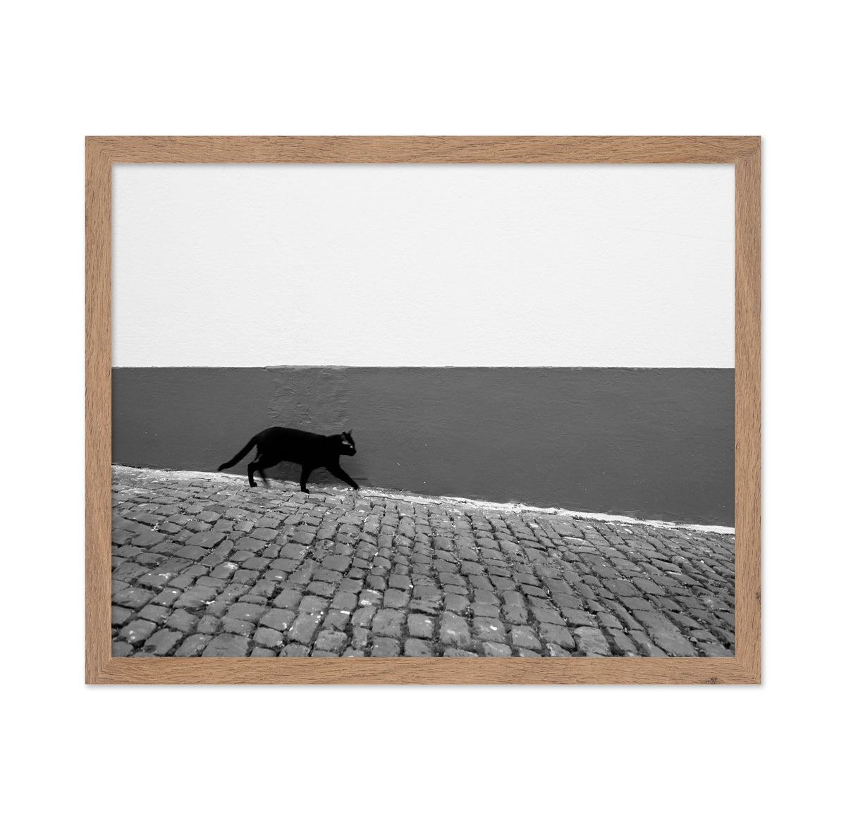 Silent Alley Cat