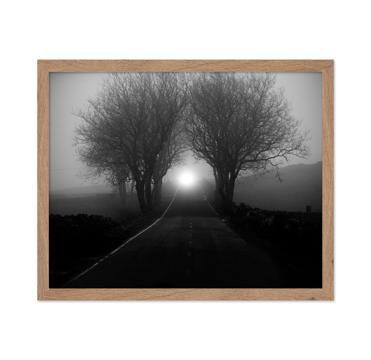 Foggy Road Lights