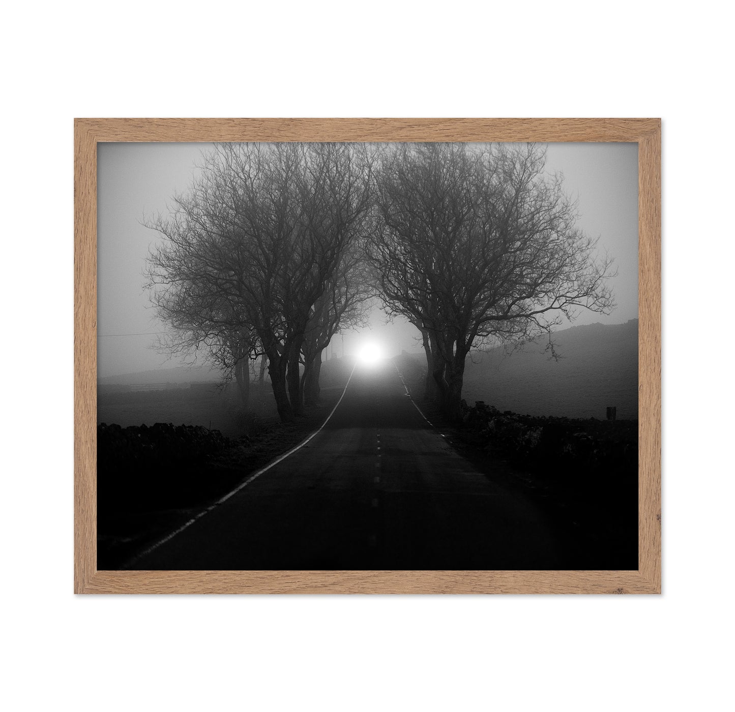 Foggy Road Lights