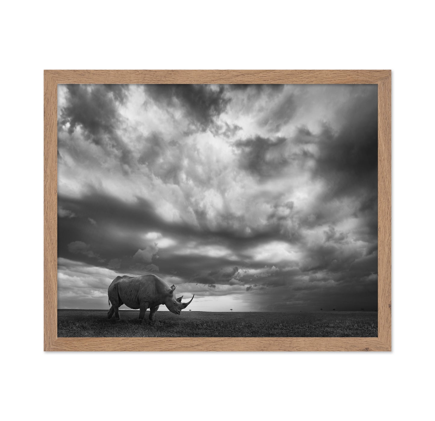 Lone Rhino Plains
