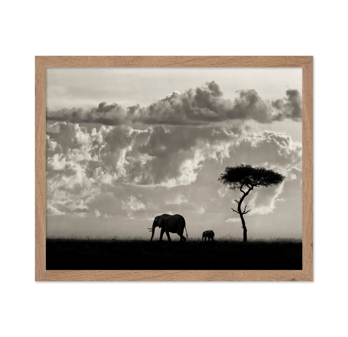 Elephant Silhouette