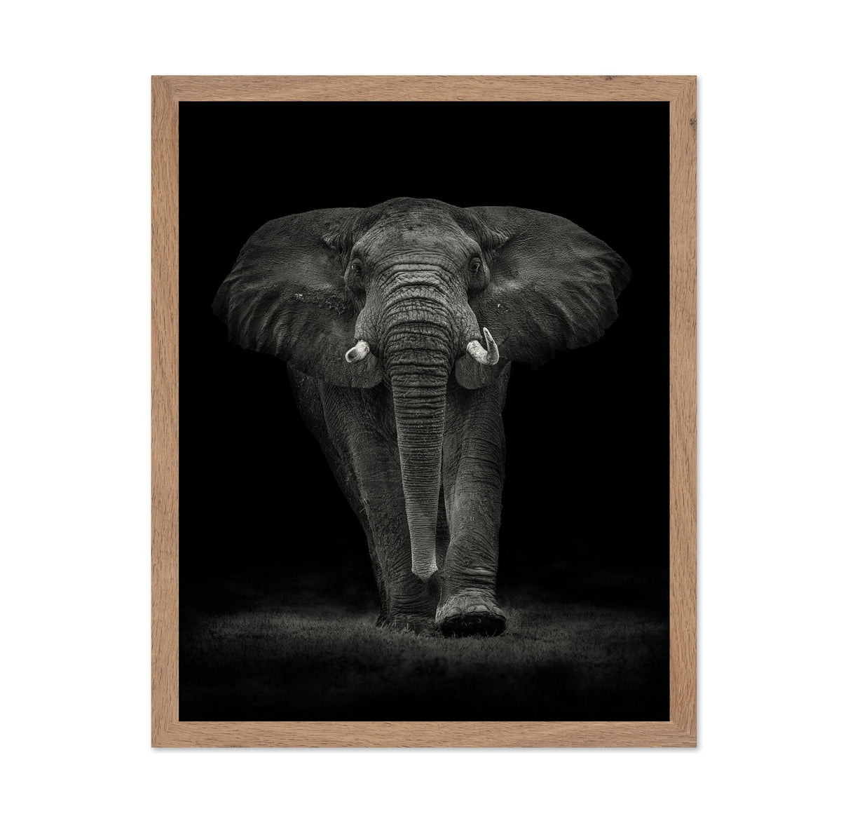 Powerful Elephant