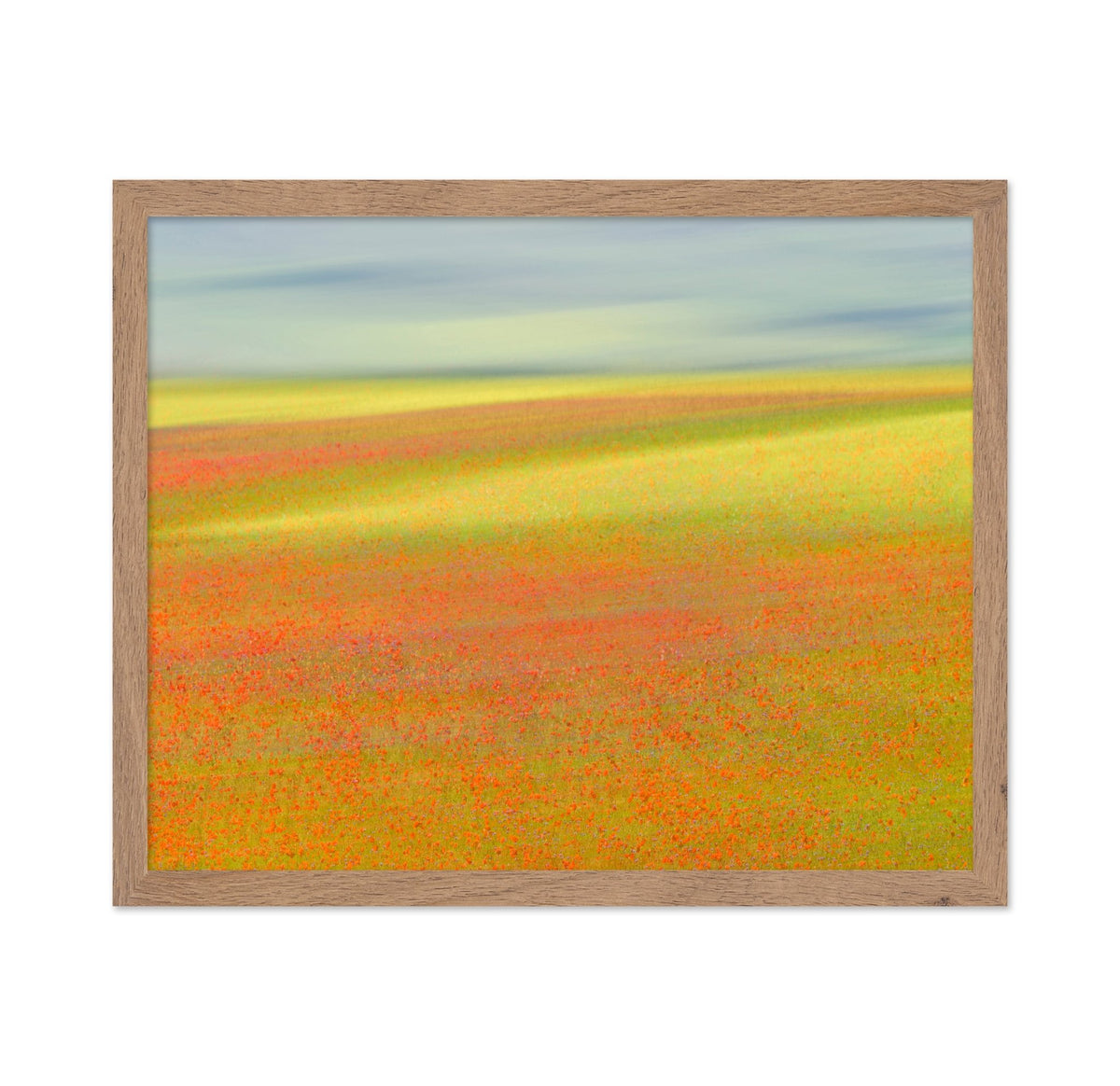 Colorful Flower Fields No1